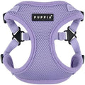 Puppia Comfort Dog Harness C Fashionable Mesh Spring Summer Harness by PUPPIA