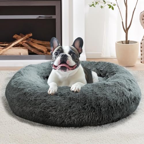JOLLYVOGUE Calming Dog Bed for Small Dogs by JOLLYVOGUE