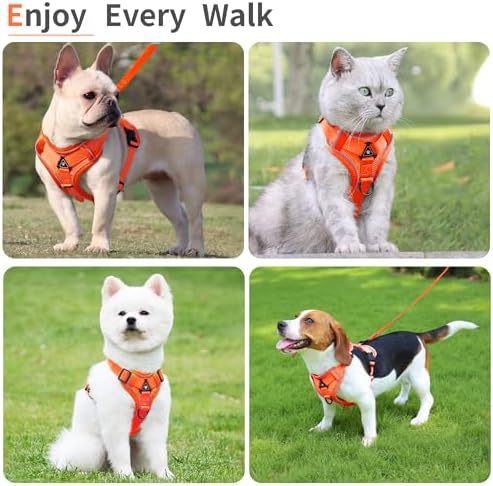Dog Harness Small Sized Dog Pet Vest - Image 6