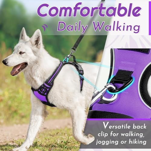 Eagloo Dog Harness for Small Dogs, No Pull Pet Vest - Image 4
