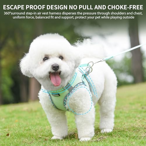 AIITLE Teacup Puppy Harness - Image 2