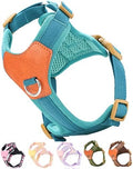 Blue xs Dog Harness for Small Dogs, No Pull Dog Harness by SOLMOONY