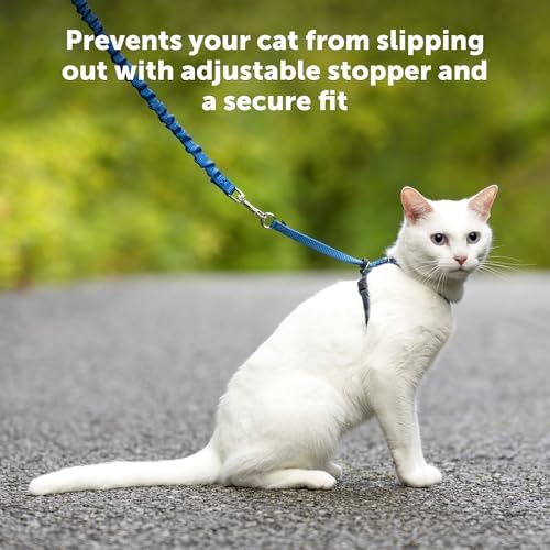 PetSafe Come with Me Kitty Harness and Bungee Leash - Image 5