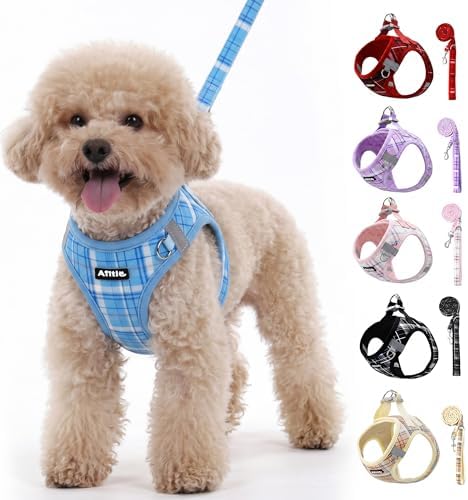 AIITLE Step in Dog Harness and Leash Set Plaid Adjustable by AIITLE-FORPETSBETTERLIFE