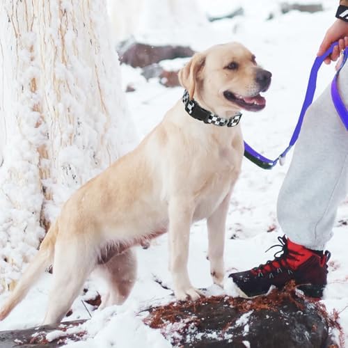 Dog Collar Adjustable Puppy Collar - Image 4