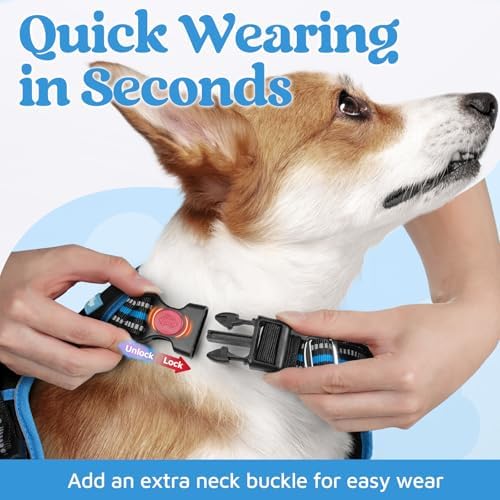 rabbitgoo Dog Harness for Large, No Pull 3 Buckles Easy On & Off - Image 2