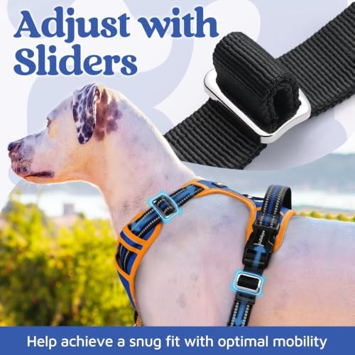 rabbitgoo Dog Harness Small Sized, No Pull 3 Buckles Easy On & Off - Image 5
