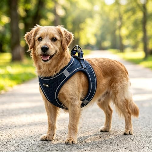 ROYPET Step-in Air Dog Harness, All Weather Mesh Step in Vest Harness - Image 6