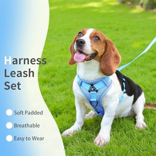Dog Harness Small Sized Dog Pet Vest - Image 2