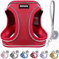 Solmoony Sparkly XS Dog Harness and Leash Set, Step in Soft Light Puppy Vest by SOLMOONY