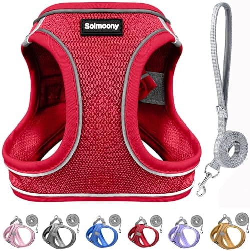 Solmoony Sparkly XS Dog Harness and Leash Set, Step in Soft Light Puppy Vest by SOLMOONY
