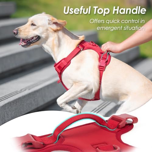 Sunraymascota No Pull Dog Harness - Image 4