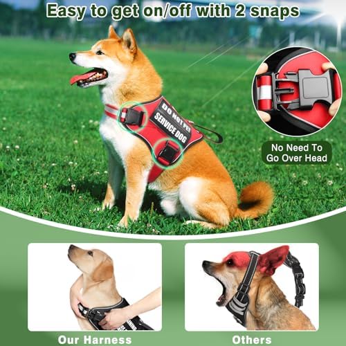 Service Dog Vest Harness and Leash Set+10 Patches, No Pull&Adjustable - Image 4