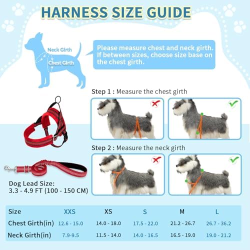SlowTon No Pull Small Dog Harness and Leash Set - Image 5