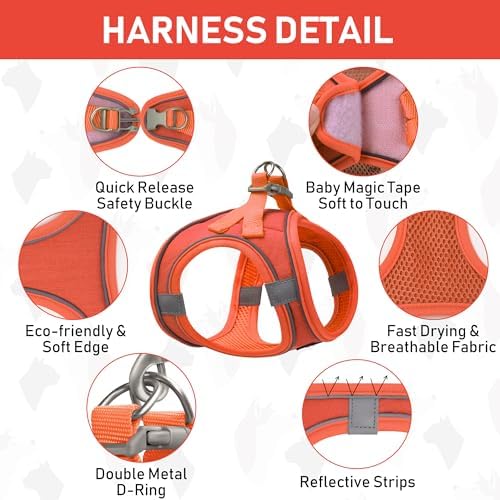 GAMUDA Small Pet Harness Collar and Leash Set, Step in No Chock No Pull Linen - Image 3