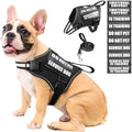 Service Dog Vest Harness and Leash Set+10 Patches, Easy Walk Black M by MOOGROUPETSFRIEND