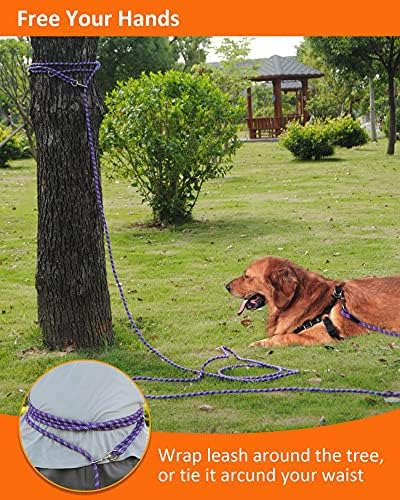 Heavy Duty Dog Leash for Large, Small Dogs - 10FT/16FT/30FT/50FT/100FT - Image 6