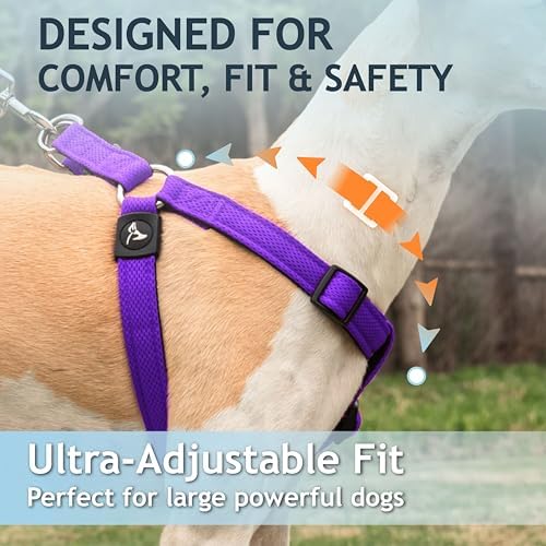 Kruz No Pull Dog Harness Heavy-Duty Pet Harness - Image 4