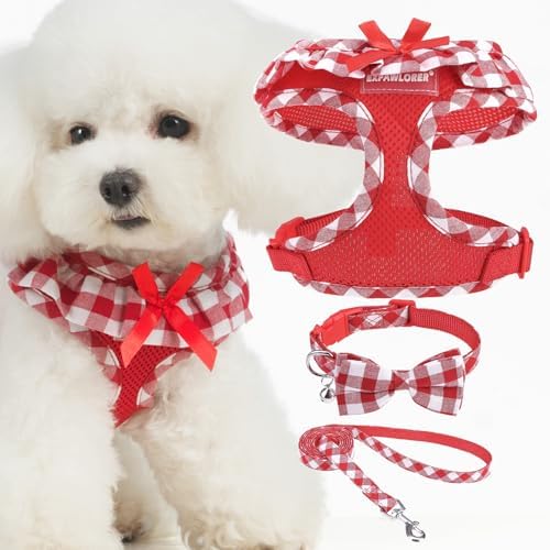 EXPAWLORER Step-in Dog Harness Small Sized Collar and Leash Set by EXPAWLORER