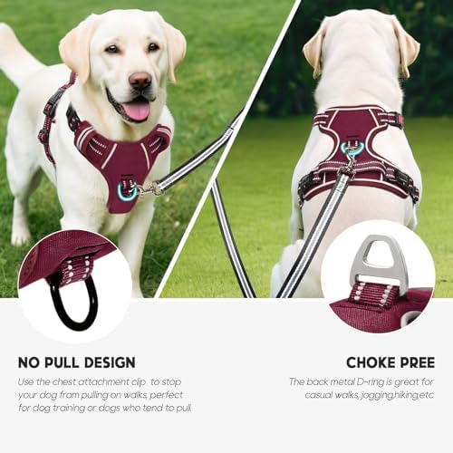 Timos Dog Harness, No Pull Large Sized - Image 5