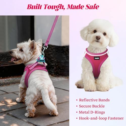 No Pull Dog Puppy Harness and Leash Set Reflective Mesh Vest X-Small - Image 5