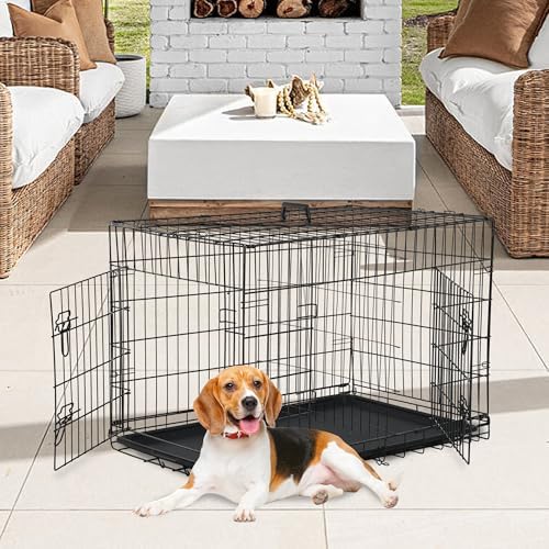 FDW | 36" Foldable Metal Dog Crate | Black | Cage - Image 2