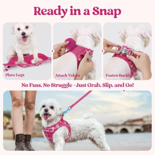 rabbitgoo Dog Harness Small Sized and Leash Set, Step-in Puppy Pet Vest - Image 5