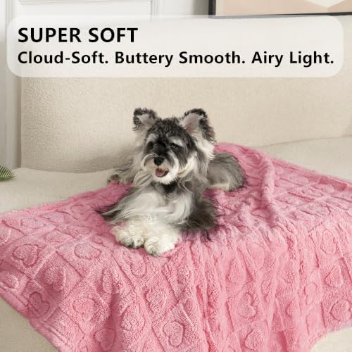 gogobunny Pet Blanket for Dogs Cats, 300GSM Ultra Soft Coral Fleece Blanket - Image 3