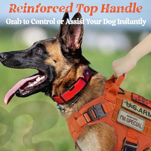 rabbitgoo Tactical Dog Harness for Medium, Heavy Duty Military No Pull Vest - Image 3