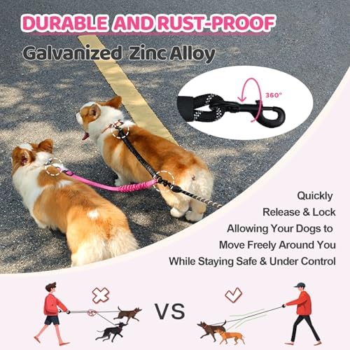 Double Dog Leash - Image 4