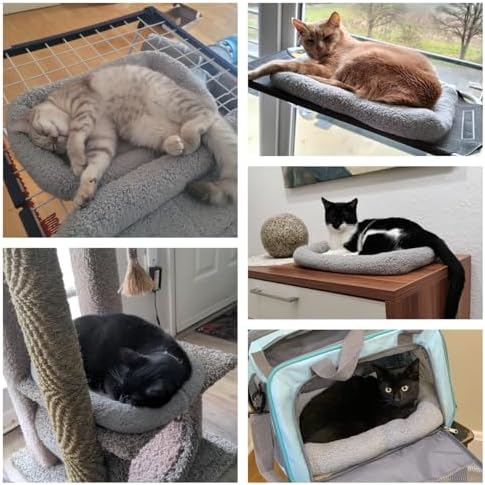 LESYPET Cat Bed for Indoor Cats, Cat Bed Curl Sleep Cushion - Image 2