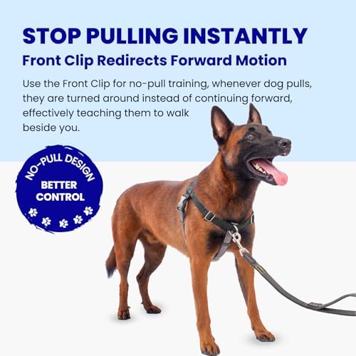 Freedom No Pull Dog Harness, Large Dogs - Image 2