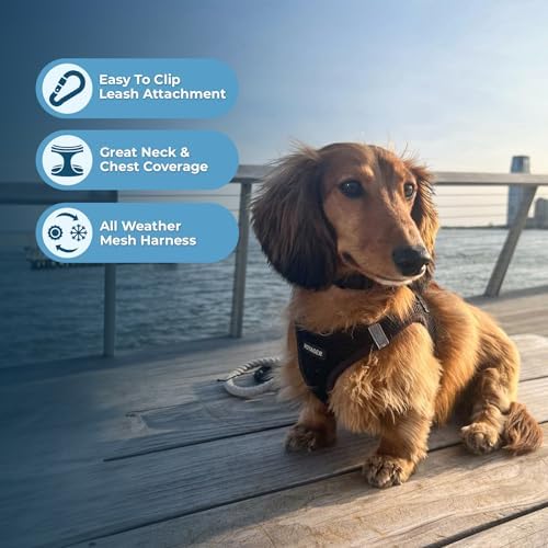 Best Pet Supplies Voyager Step-in Air Harness - Image 2