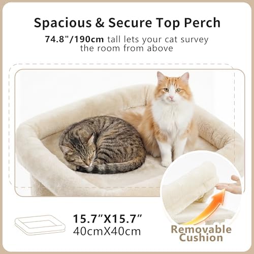 Heybly Cat Tree, 74.8-Inch Spacious & Tall Cat Tower - Image 2