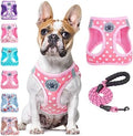 BEAUTYZOO Large Dog Harness and Leash Set, No Pull Puppy Pet Vest by BEAUTYZOO