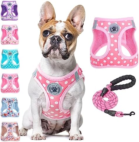 BEAUTYZOO Large Dog Harness and Leash Set, No Pull Puppy Pet Vest by BEAUTYZOO