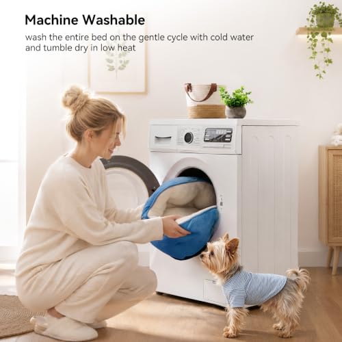 Asvin Medium Dog Bed for Medium Dogs, Cat Beds for Indoor Cats, Pet Bed for - Image 5