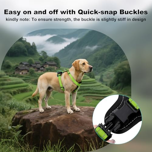 Plutus Pet No Pull Dog Harness - Image 6