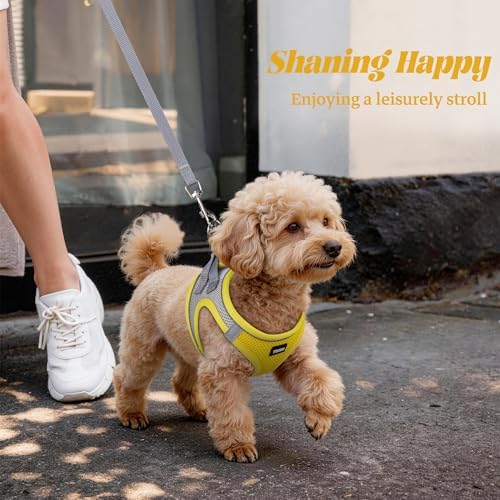No Pull Dog Puppy Harness and Leash Set Reflective Mesh Vest XX-Small - Image 6