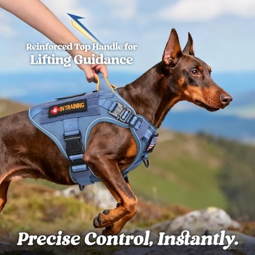 rabbitgoo Tactical Dog Harness for Medium, Heavy Duty Military No Pull Vest - Image 2