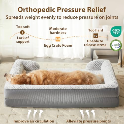 LEXTRO Washable Orthopedic Dog Bed, Waterproof Couch - Image 3
