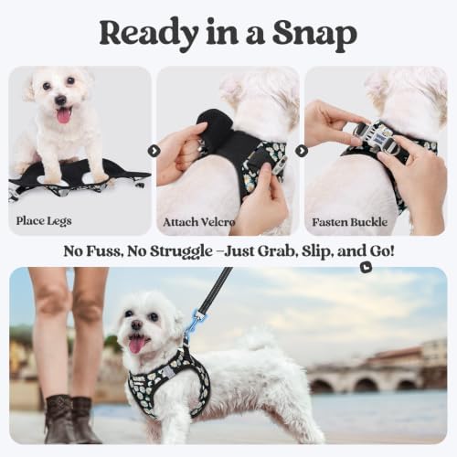 rabbitgoo Dog Harness Medium Sized and Leash Set, Step-in Puppy Pet Vest - Image 5
