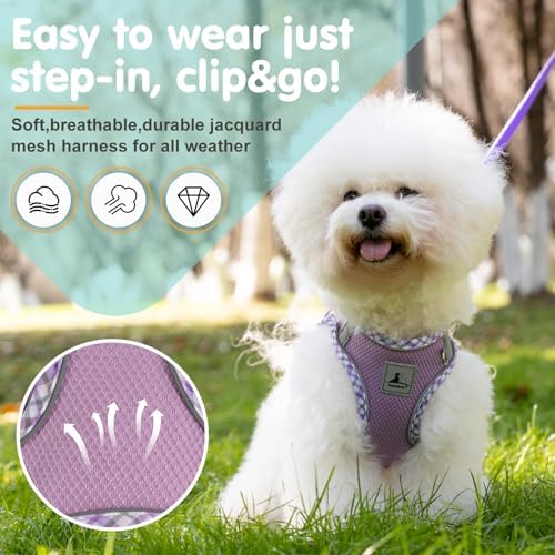 Dog Harness and Leash Set, No Pull Soft Breathable Adjustable Reflective Step - Image 2