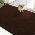 OLANLY Dog Door Mat for Muddy Paws 50x30, Super Absorbent Chenille Mud Mat by OLANLY