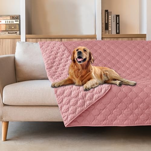 gogobunny Waterproof Dog Blankets by gogobunny