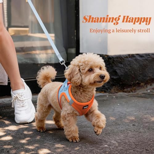 No Pull Dog Puppy Harness and Leash Set Reflective Mesh Vest Medium - Image 6