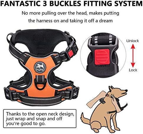 PoyPet No Pull Dog Harness Large - Image 2