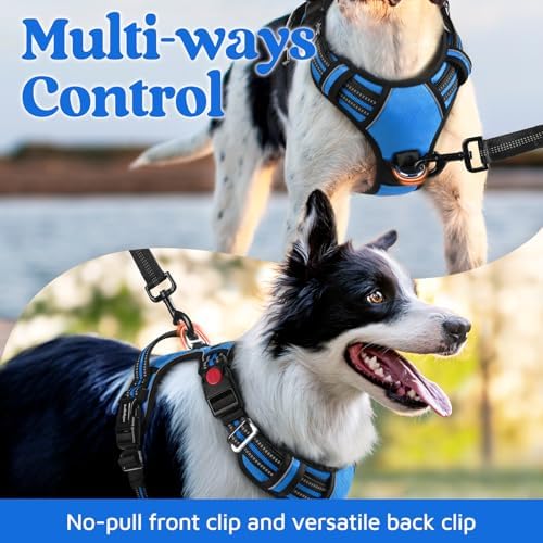 rabbitgoo Dog Harness Small Sized, No Pull 3 Buckles Easy On & Off - Image 3