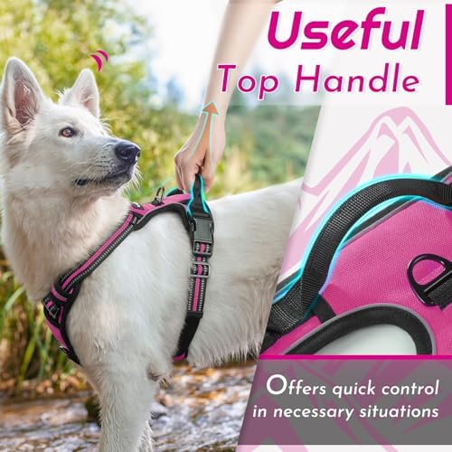 Eagloo Dog Harness for Medium Sized Dogs, No Pull Vest - Image 5