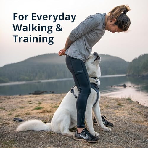 Ruffwear, Front Range Dog Chest Harness, River Rock Green, Large/X-Large - Image 3